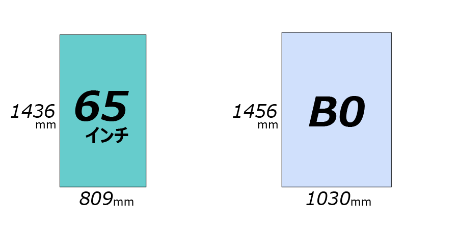 65インチとB0 のサイズ比較（縦）